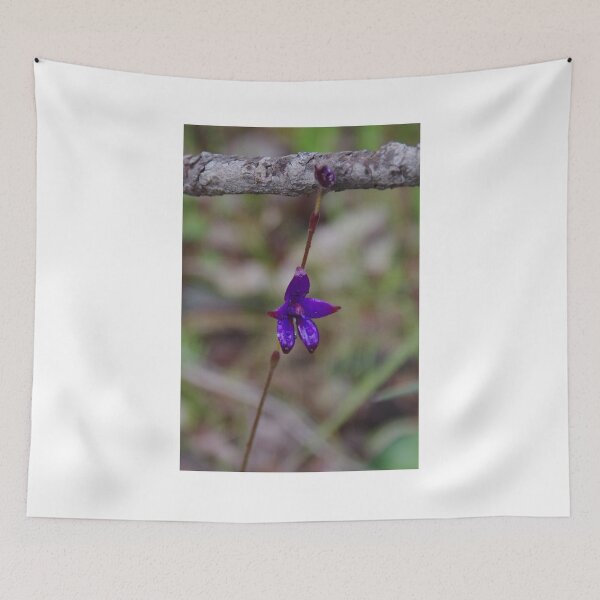 Item preview, Purple Enamel Orchid, Caladenia brunonis designed and sold by lezvee.