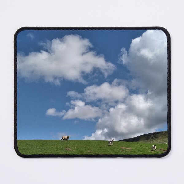Item preview, The watching sheep in fields near Stirlingshire, Scotland designed and sold by Richard Flint.