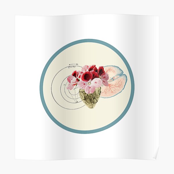 Flowering Heart & Brain | Spiritual Science Collage 2 Poster