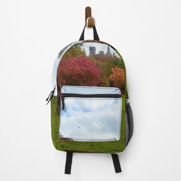 Item preview, Autumn in Bute Park, Cardiff, South Wales designed and sold by VnGphoto.