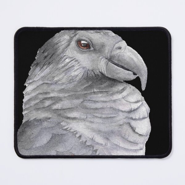 Item preview, Dracula pesquet parrot watercolor painting goth designed and sold by L'Atelier Oranjade.