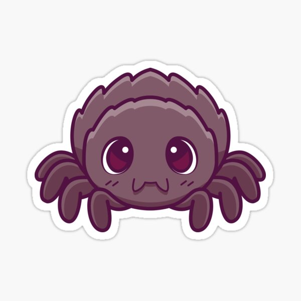 Cute Adorable Spider\