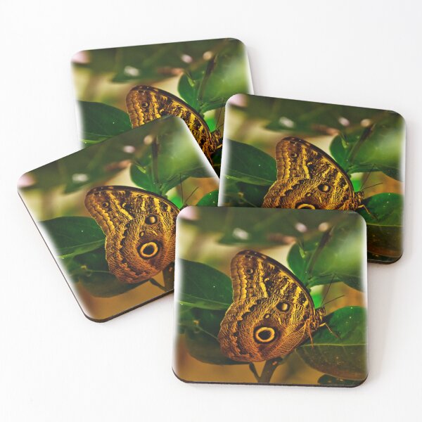 Item preview, Owl Butterfly In Andalucia II designed and sold by alabca.
