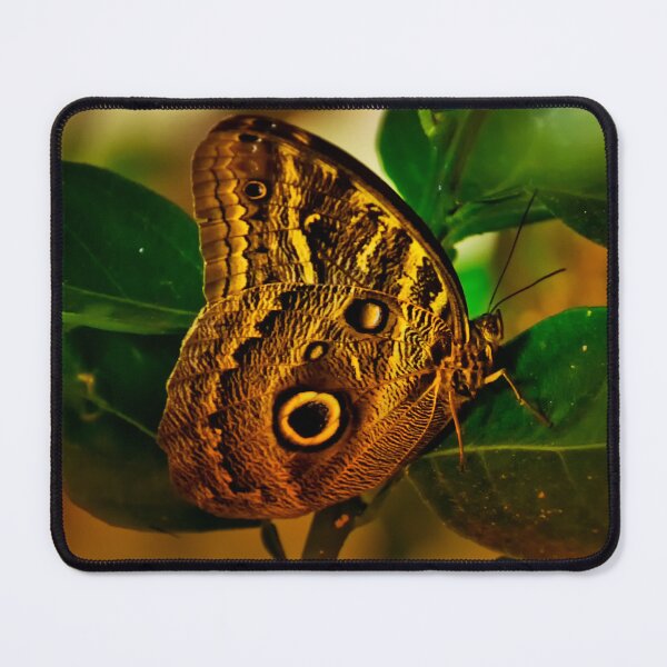 Item preview, Owl Butterfly In Andalucia II designed and sold by alabca.