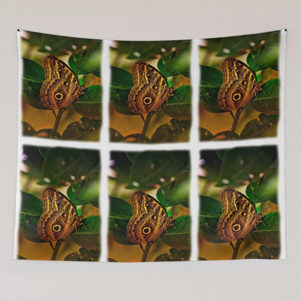 Item preview, Owl Butterfly In Andalucia II designed and sold by alabca.