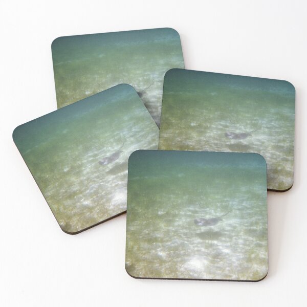 Item preview, He Swims designed and sold by Ella Stoltz.