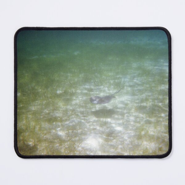 Item preview, He Swims designed and sold by Ella Stoltz.