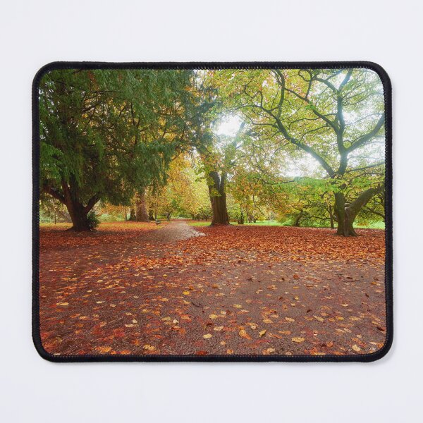 Item preview, Autumn in Bute Park, Cardiff, South Wales designed and sold by VnGphoto.