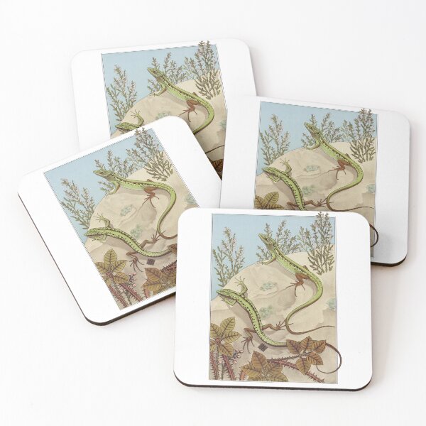 Item preview, Lizards designed and sold by kubranurgullu.