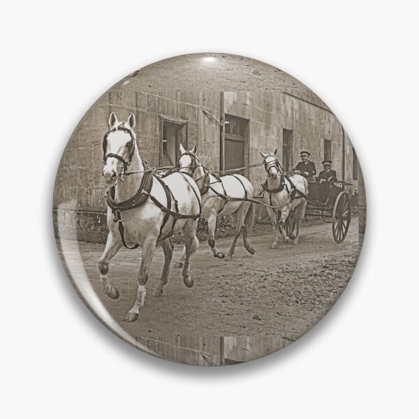 Artikelvorschau, r451/ Finition 2022: The Happy Days of Haras de Saintes - Les jours Heureux du Haras de Saintes " 1846 - 2018 (sad) " Okaio Créations Olavia-Olao entworfen und verkauft von o.okaïo.