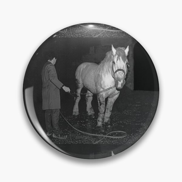 Artikelvorschau, r450/ Finition 2022: Lavage de la Star - Les jours Heureux du Haras de Saintes " 1846 - 2018 (sad) " Okaio Créations Olavia-Olao entworfen und verkauft von o.okaïo.