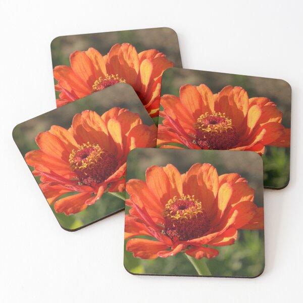 Item preview, Autum Xenia designed and sold by K D Graves Photography.