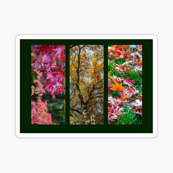 Autumn Triptych Sticker