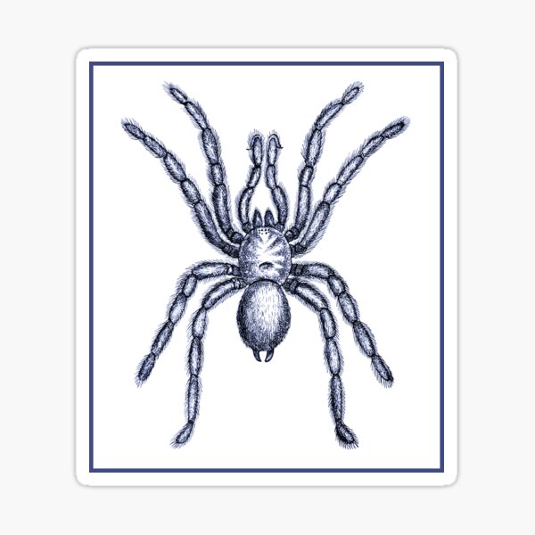 Item preview, Tarantula designed and sold by Kawka.