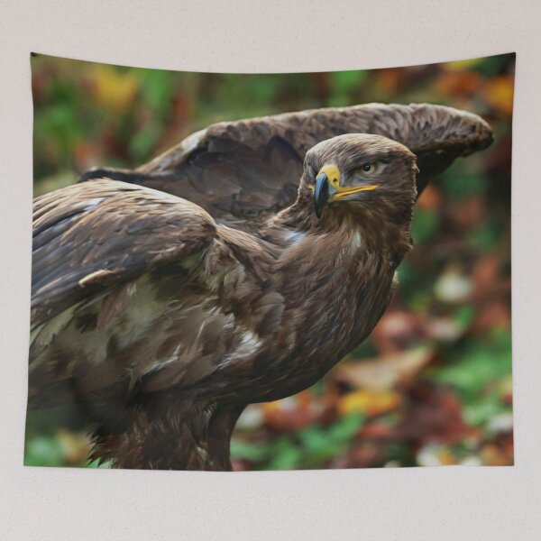 Item preview, Eagle designed and sold by Dawn van Doorn.