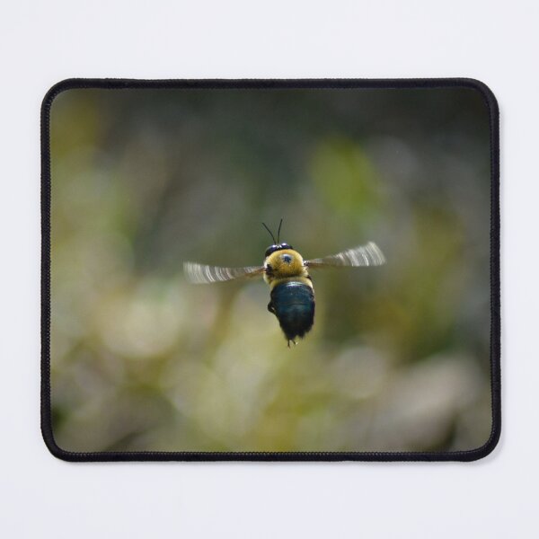 Item preview, Bumblebee in Flight designed and sold by depictionly.