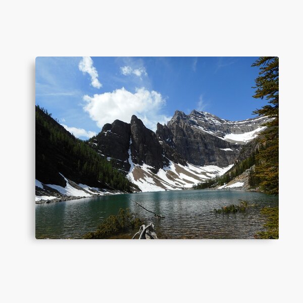 Canadian Rockies Canvas Prints Redbubble