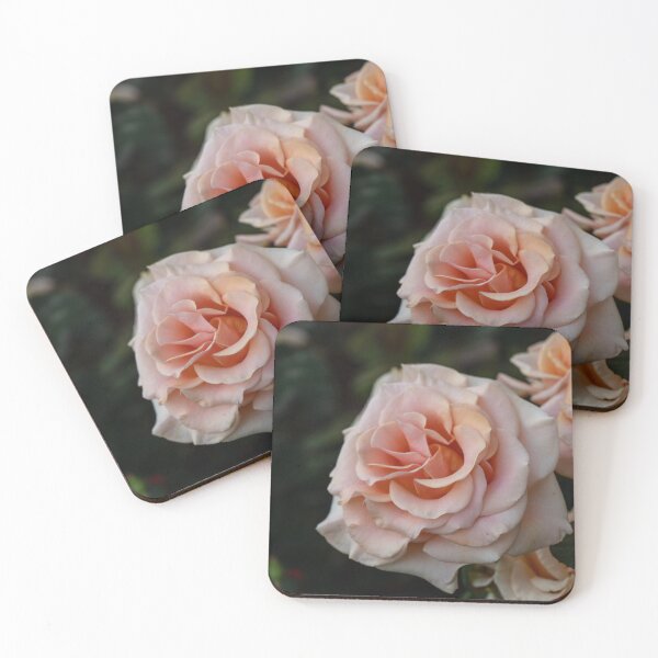 Item preview, Rose designed and sold by Timelessvisuals.