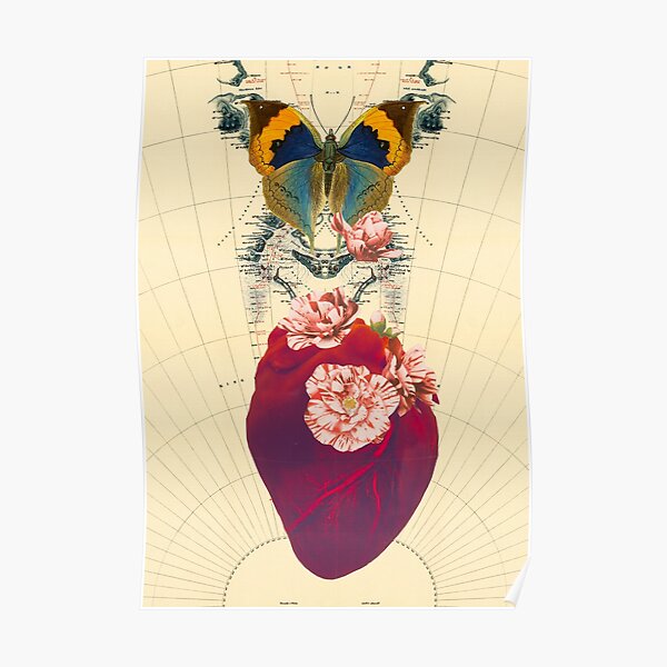 Your Heart Butterfly Flower = The Map Poster