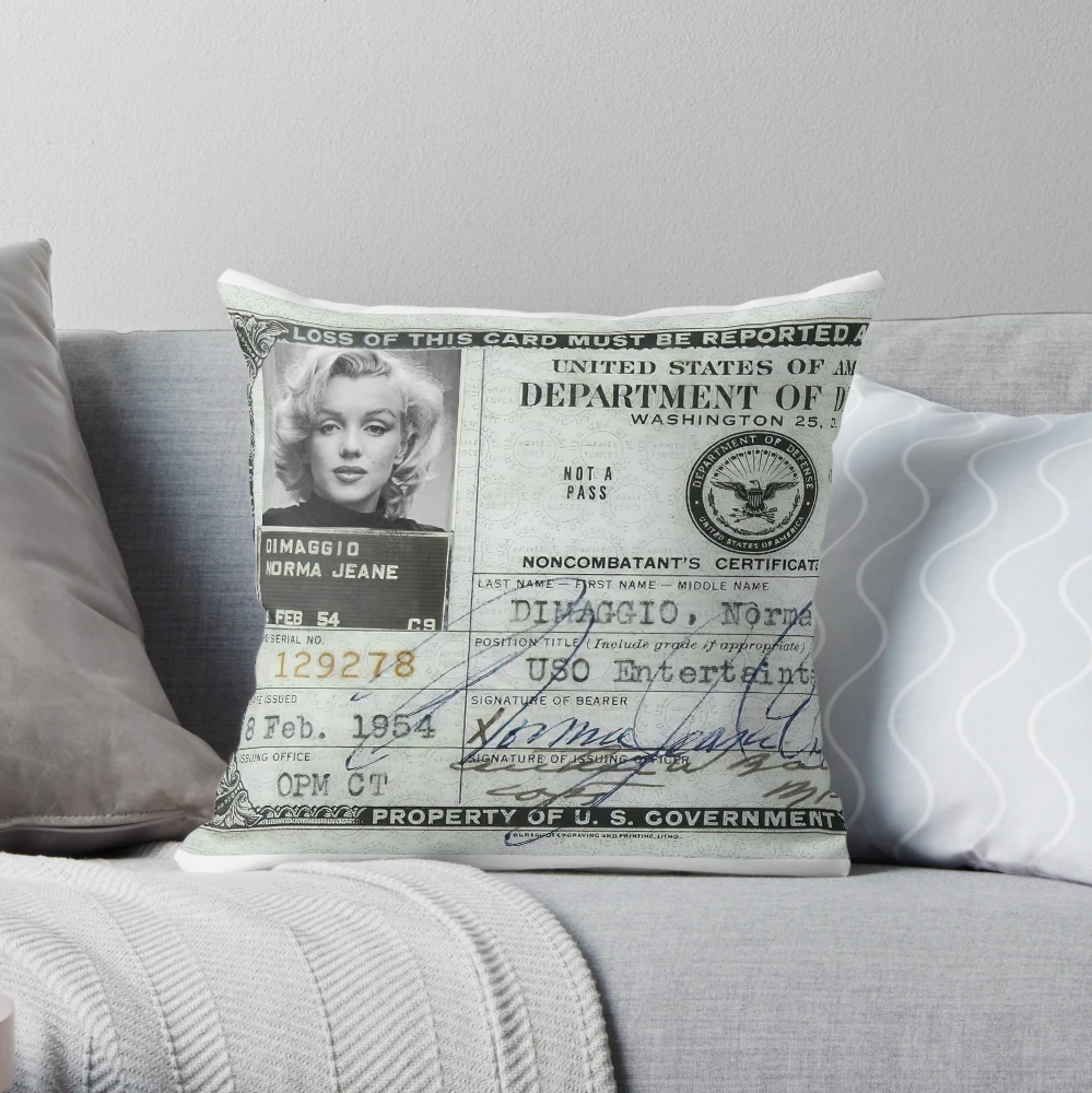 In Defense of Decorative Pillows