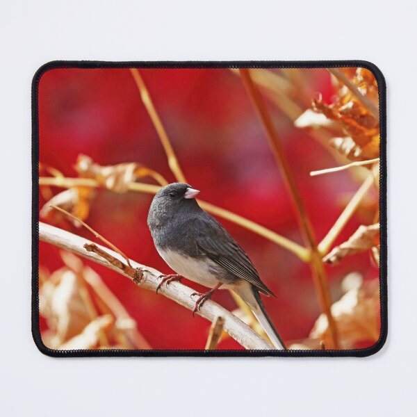 Item preview, Dark Eyed Junco In Autumn designed and sold by Deb Oppermann.