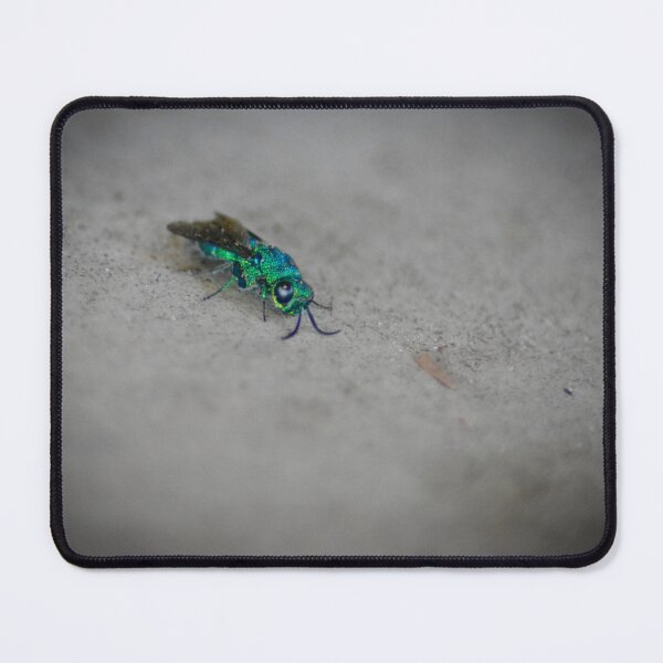 Item preview, Emerald Hornet designed and sold by depictionly.