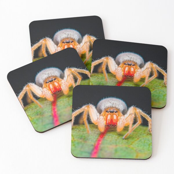Item preview, Ghost Spider - Anyphaenidae designed and sold by AronsTinySafari.