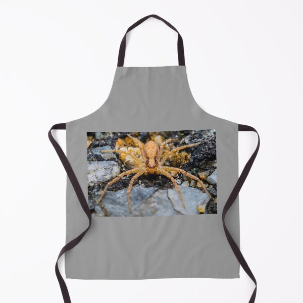 Item preview, American Nursery Web Spider - Pisauridae designed and sold by AronsTinySafari.