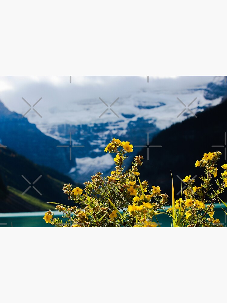 Mountain sunshine by debfaraday