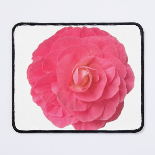 Item preview, Pink Double Begonia Flower Close-up Photo designed and sold by InalterataArt.