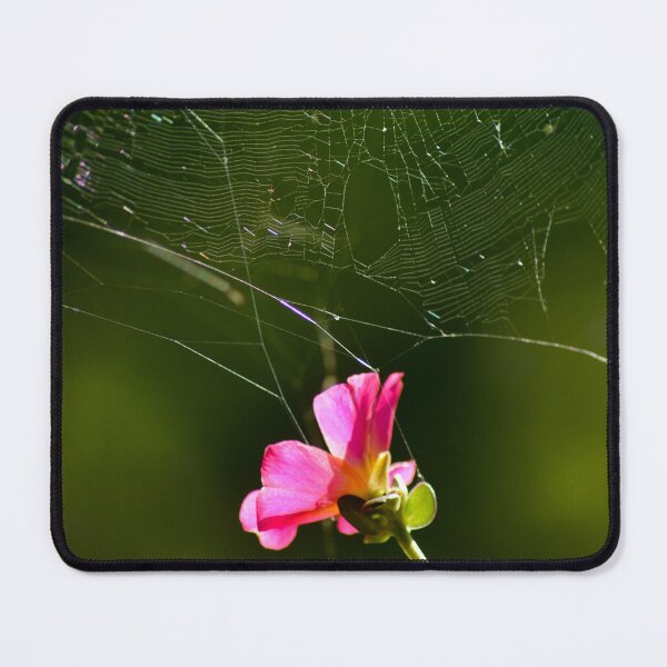 Item preview, Purslane Flower and Spiderweb v2.0 designed and sold by depictionly.
