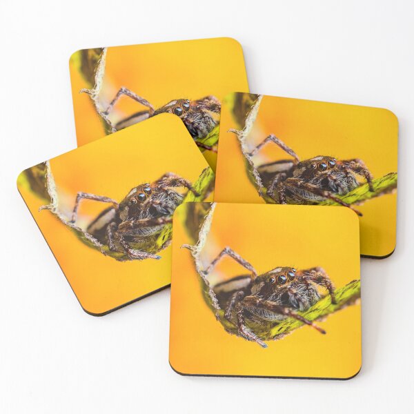Item preview, Jumping Spider - Salticid designed and sold by AronsTinySafari.