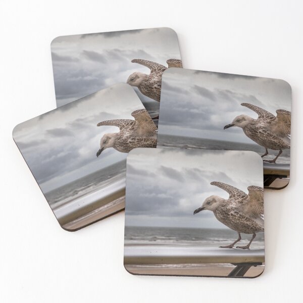 Item preview,  Seagull   designed and sold by jasminewang.
