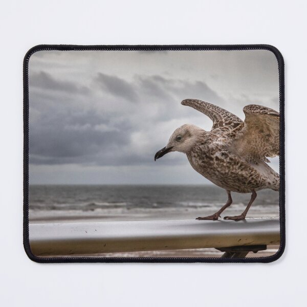 Item preview,  Seagull   designed and sold by jasminewang.