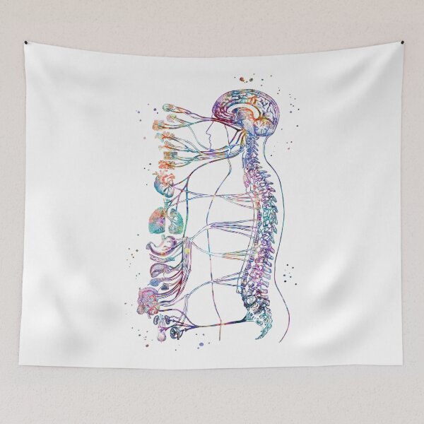 Item preview, Autonomic Nervous System designed and sold by EvasDreams.