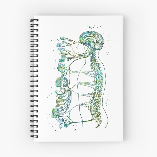 Item preview, Autonomic Nervous System designed and sold by EvasDreams.