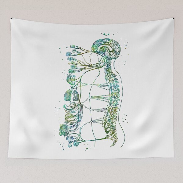 Item preview, Autonomic Nervous System designed and sold by EvasDreams.