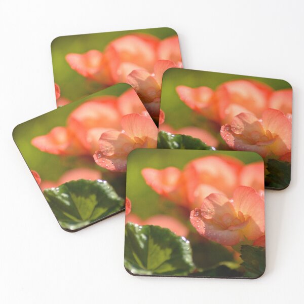 Item preview, Purslane Flower and Drops v2.0 designed and sold by depictionly.