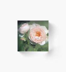 Pink Rose Acrylblock