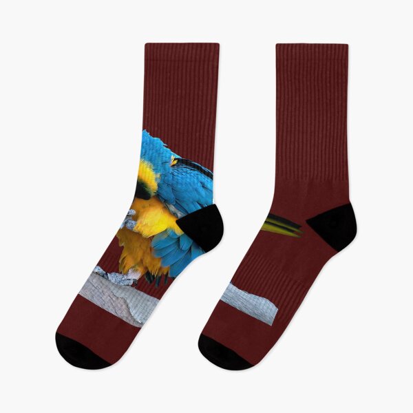 Item preview, Blue & Gold Macaw designed and sold by Nomadic Spirit Studios.