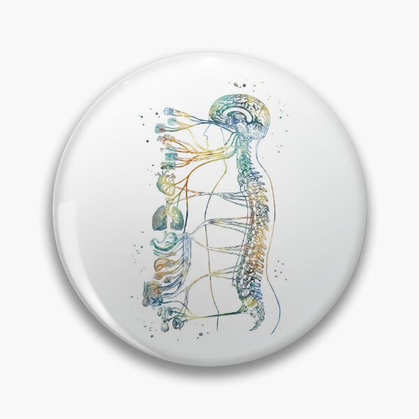 Item preview, Autonomic Nervous System designed and sold by EvasDreams.