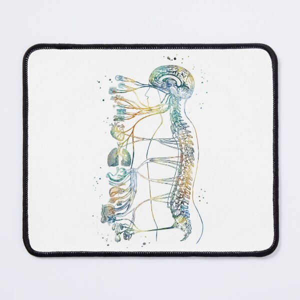 Item preview, Autonomic Nervous System designed and sold by EvasDreams.