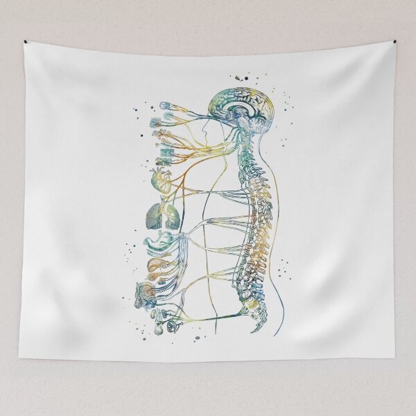 Item preview, Autonomic Nervous System designed and sold by EvasDreams.