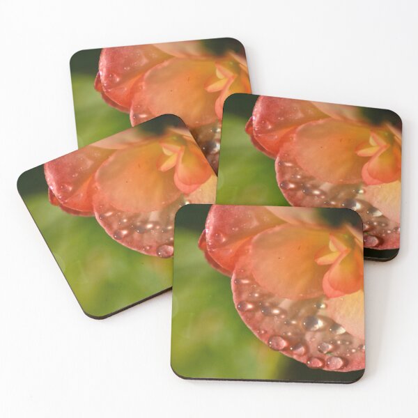 Item preview, Purslane Flower and Drops v3.0 designed and sold by depictionly.