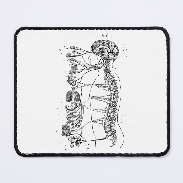 Item preview, Autonomic Nervous System designed and sold by EvasDreams.