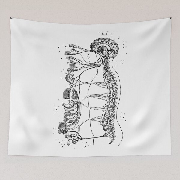 Item preview, Autonomic Nervous System designed and sold by EvasDreams.