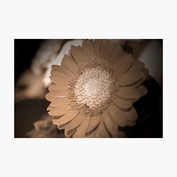 Item preview, just one  Flower  designed and sold by Trevor Fellows.