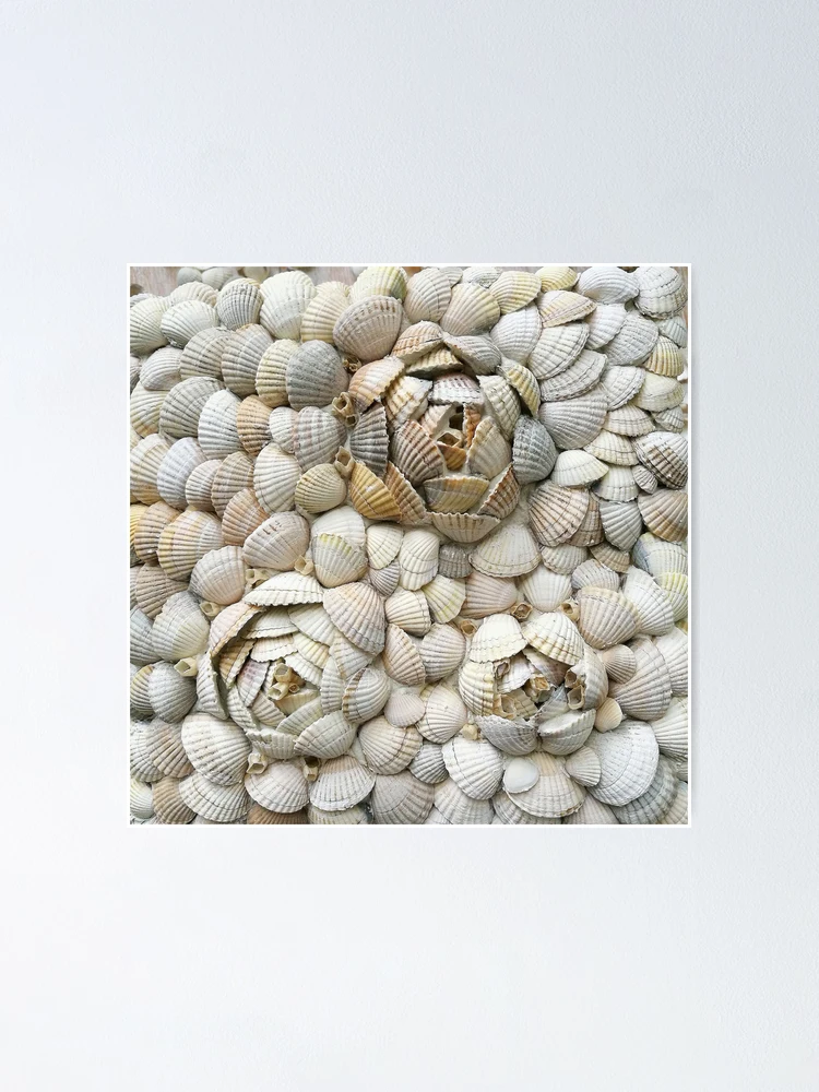 Custom Seashell Wall Art Mosaic Unique Sea Shell Decor-beach Decor