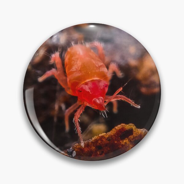 Item preview, Red Snout Nosed Mite - Bdelloidea designed and sold by AronsTinySafari.
