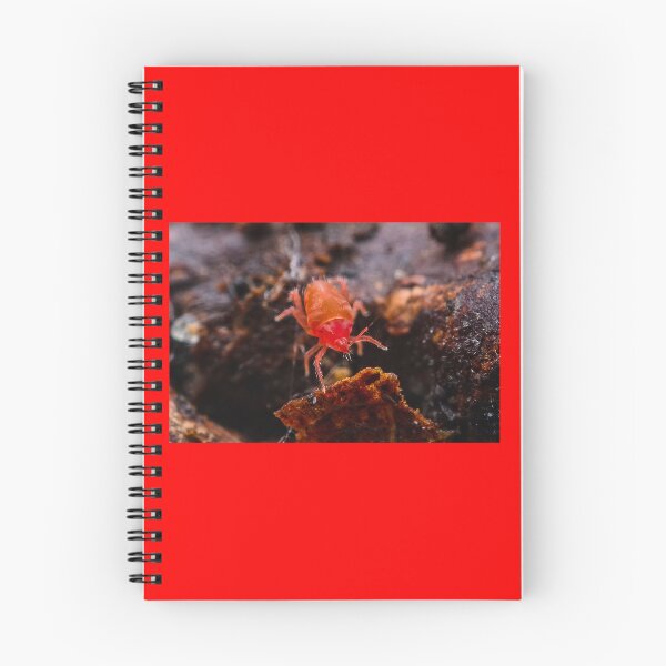 Item preview, Red Snout Nosed Mite - Bdelloidea designed and sold by AronsTinySafari.